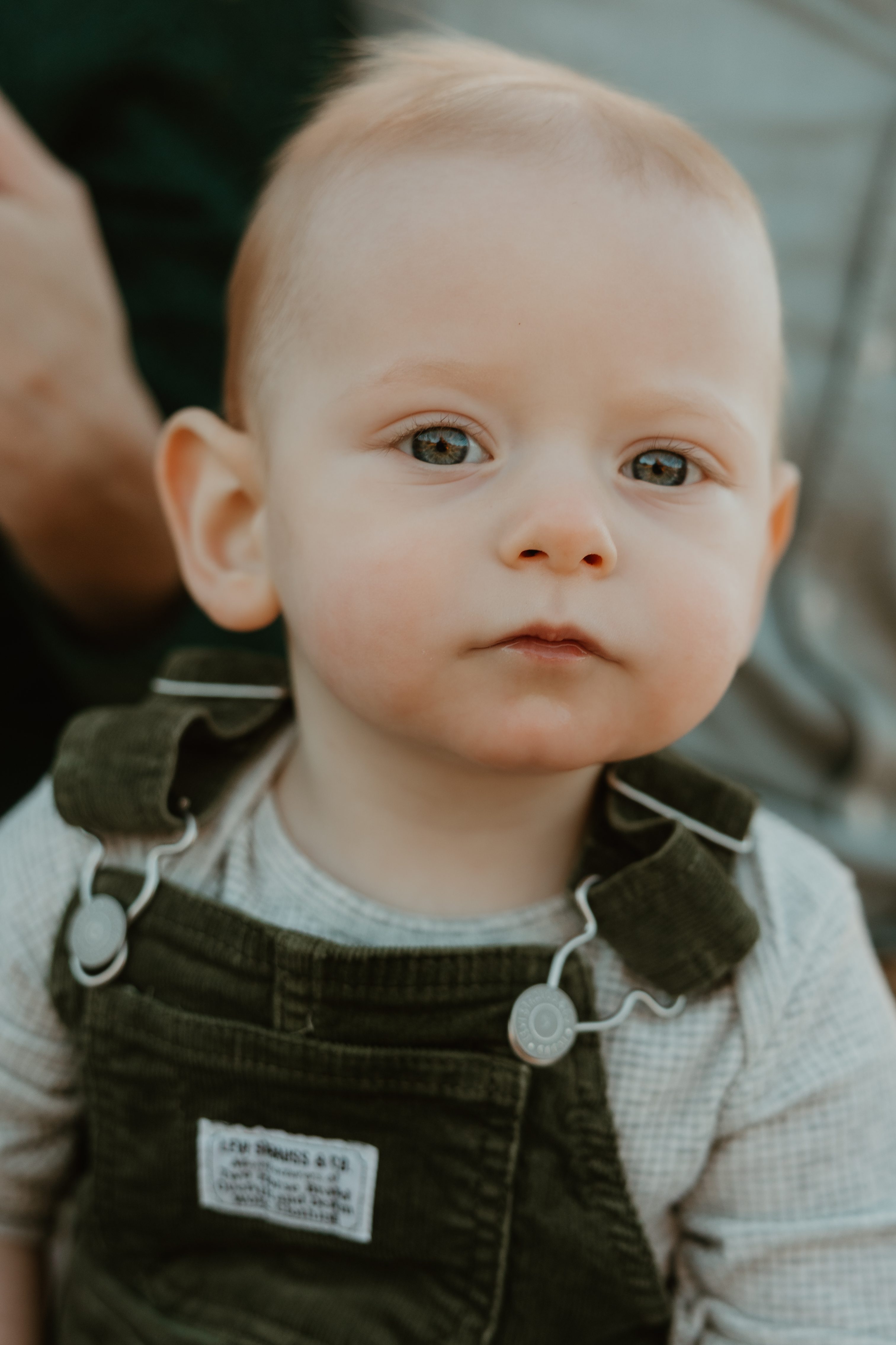 Logan Michael Fortuna